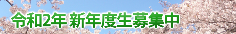 banner_sinnendo2020